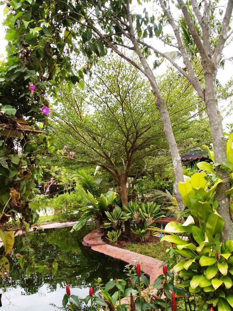 Cowboy Farm Resort Pattaya บ้านห้วยใหญ่ ภายนอก รูปภาพ